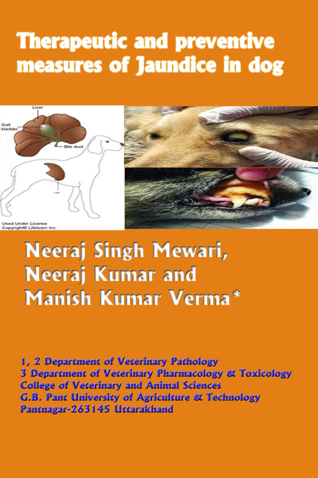 Therapeutic and Preventive Measures of Jaundice in Dog - Pashudhan Praharee