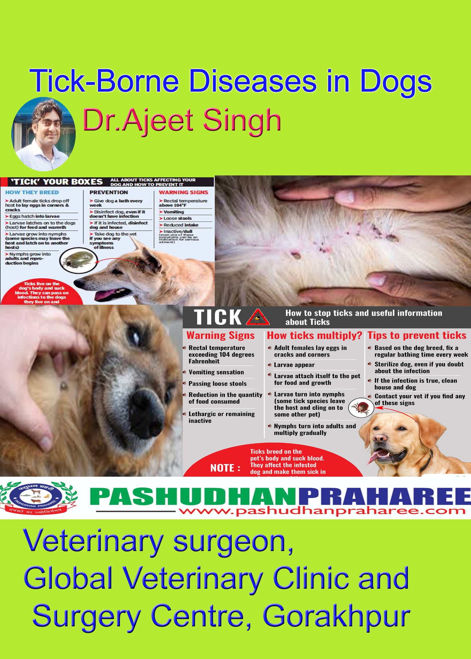 Homeopathic medicine for on sale tick fever in dogs