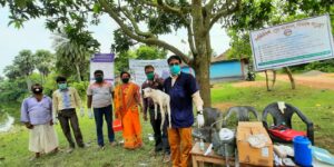 Organization of animal health camp maintaining proper hygiene by wearing face mask by veterinary doctor, animal health worker and animal owner under Covid 19 pandemic