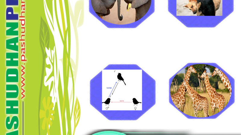 Animal Behavior: It’s Important to Understand