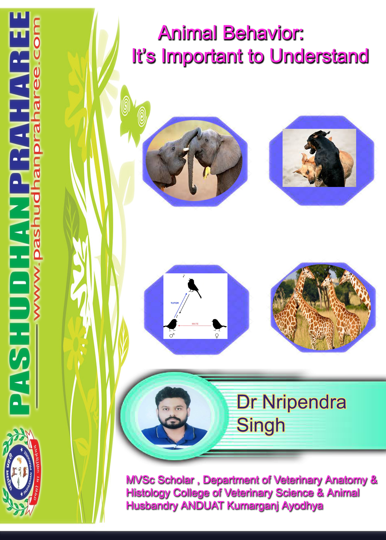 Animal Behavior: It's Important to Understand – Pashudhan praharee