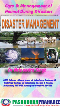 Care & Management of Animal During Disasters Care & Management of Animal During Disasters