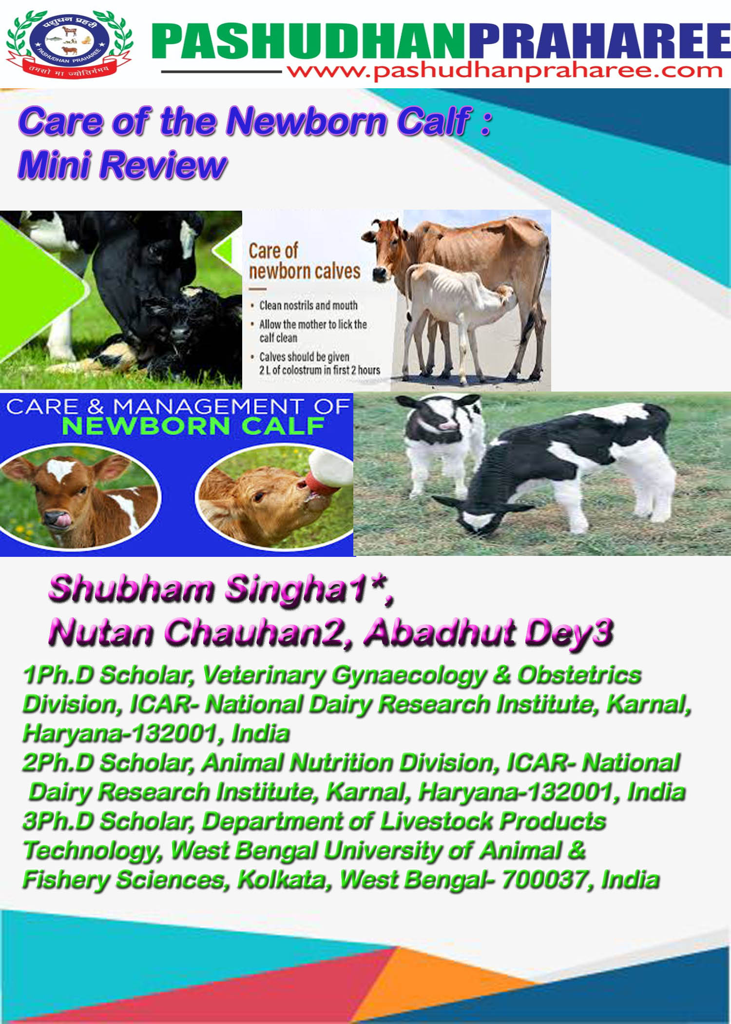 Care of the Newborn Calf : Mini Review – Pashudhan praharee