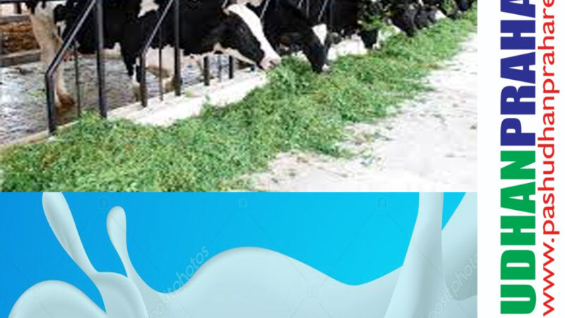 FACTORS INFLUENCING QUALITY AND COMPOSITION OF MILK