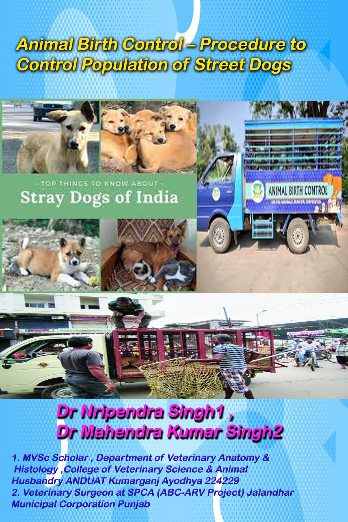 Animal Birth Control – Procedure to Control Population of Street Dogs –  Pashudhan praharee