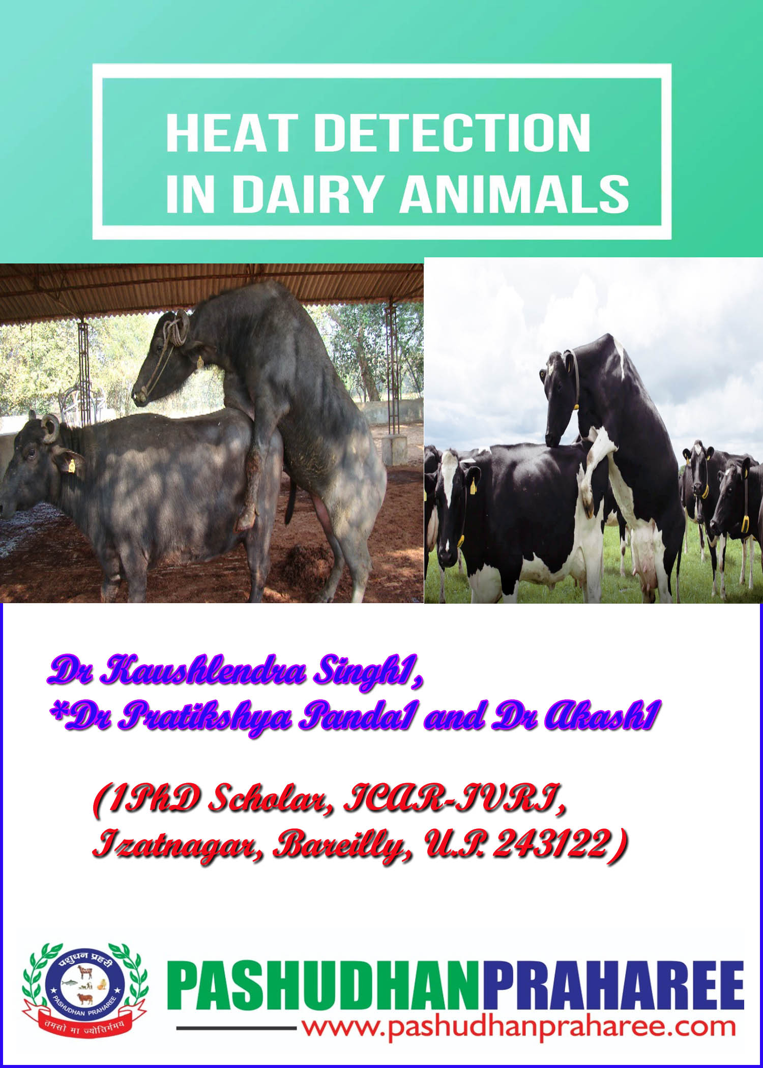 Heat Detection in Dairy Animals Heat Detection in Dairy Animals