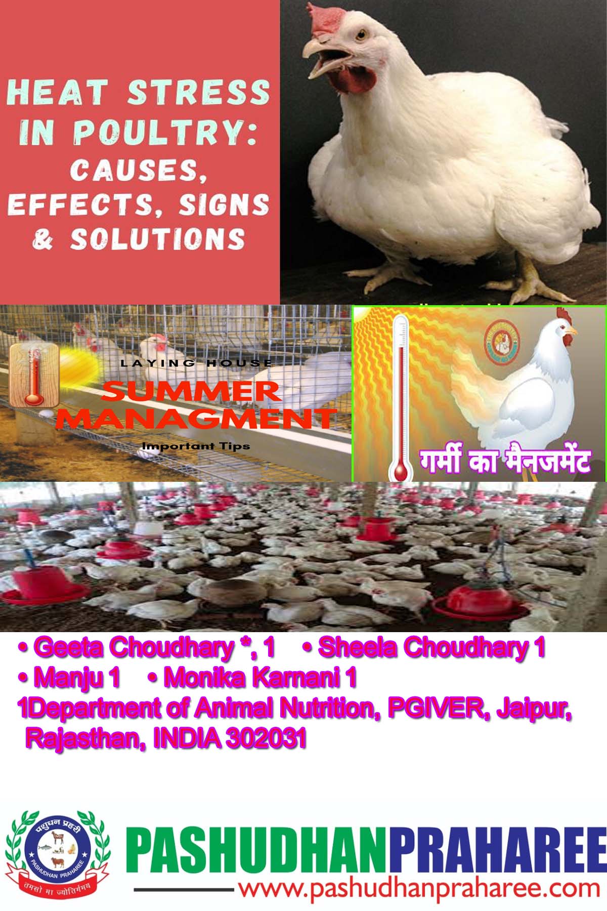 poultry farm management