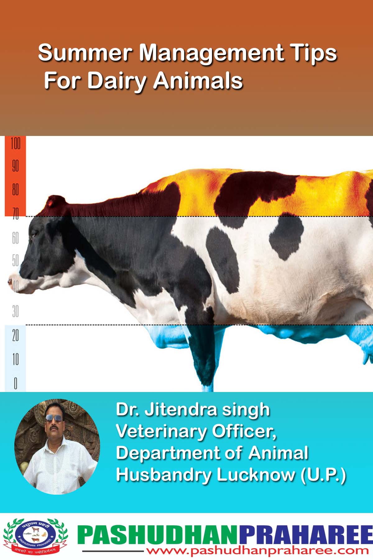 Summer Management of Dairy Animals