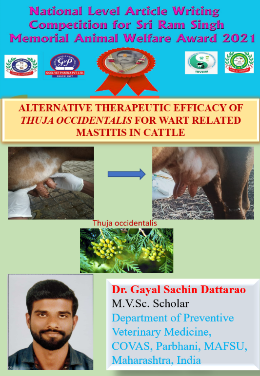 ALTERNATIVE THERAPEUTIC EFFICACY OF THUJA OCCIDENTALIS FOR ALTERNATIVE THERAPEUTIC EFFICACY OF THUJA OCCIDENTALIS FOR