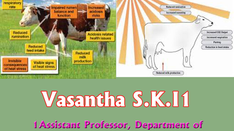View of Factors Affecting the Quantity of Milk (Milk Yield) in Dairy Cattle ...