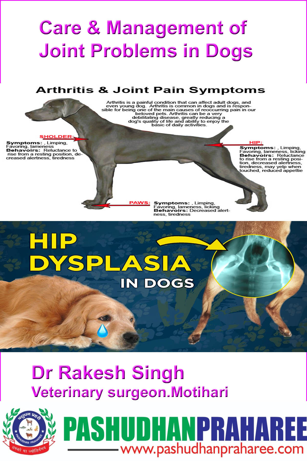 Care & Management of Joint Problems in Dogs