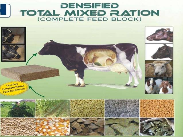 FEED FORMULATION OF RATION FOR CATTLE & BUFFALO