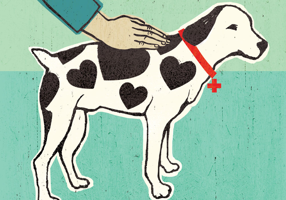 APPLICATION OF PET THERAPY FOR HEALTH BENEFIT & HUMAN WELLBEING APPLICATION OF PET THERAPY FOR HEALTH BENEFIT & HUMAN WELLBEING