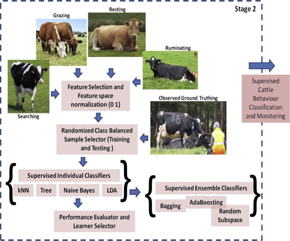 BEHAVIORAL PROBLEMS OF CATTLE AS INDICATORS OF ANIMAL HEALTH & WELFARE