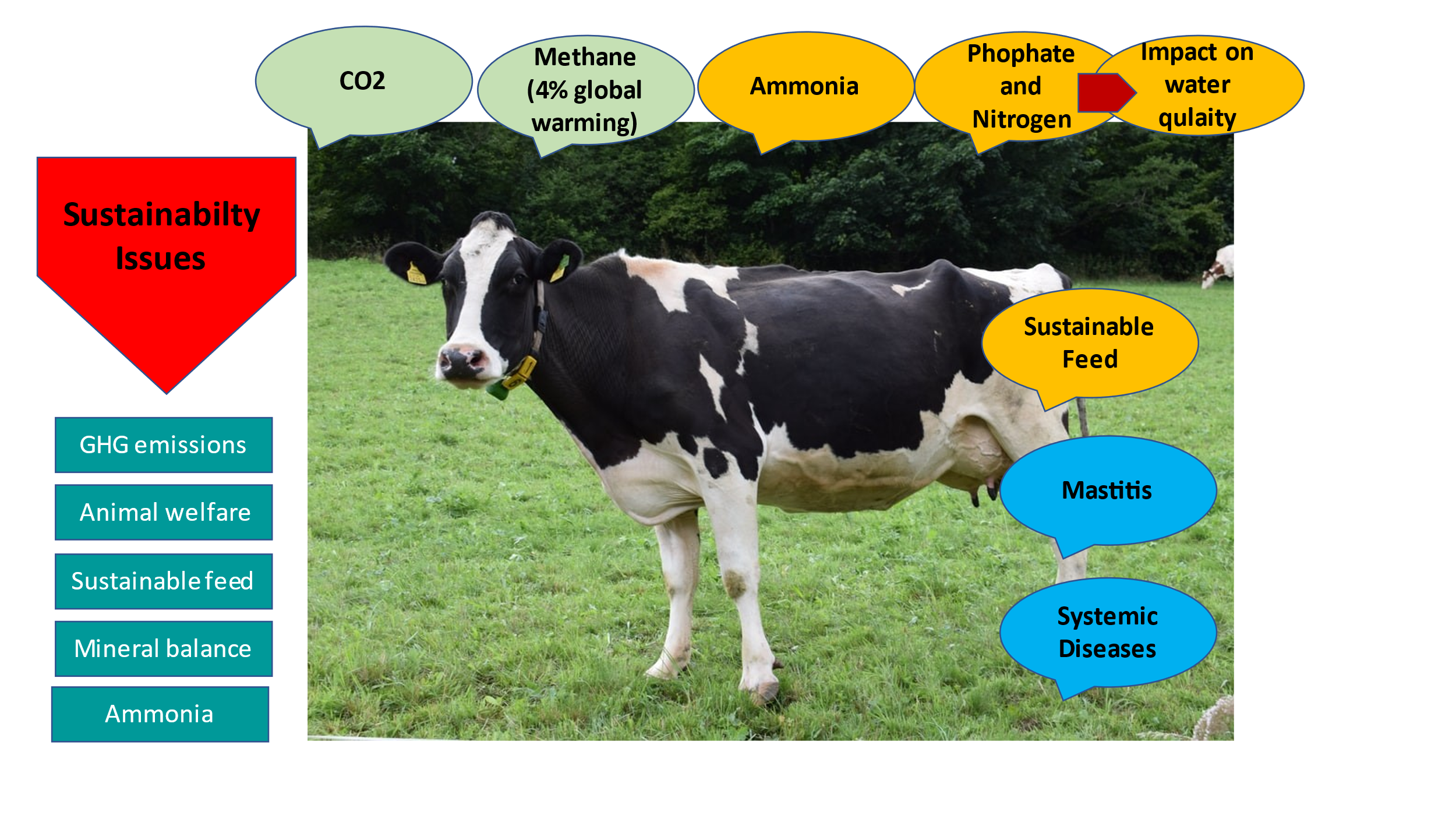CHALLENGES & STRATEGIES FOR THE SUSTAINABLE DAIRY FARMING IN INDIA