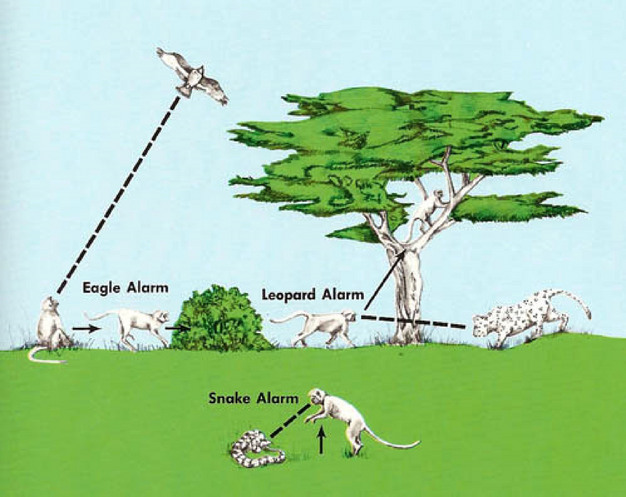ANIMAL COMMUNICATION: AN ALTERNATIVE THERAPY TO HEAL PEOPLE & ANIMAL ANIMAL COMMUNICATION: AN ALTERNATIVE THERAPY TO HEAL PEOPLE & ANIMAL