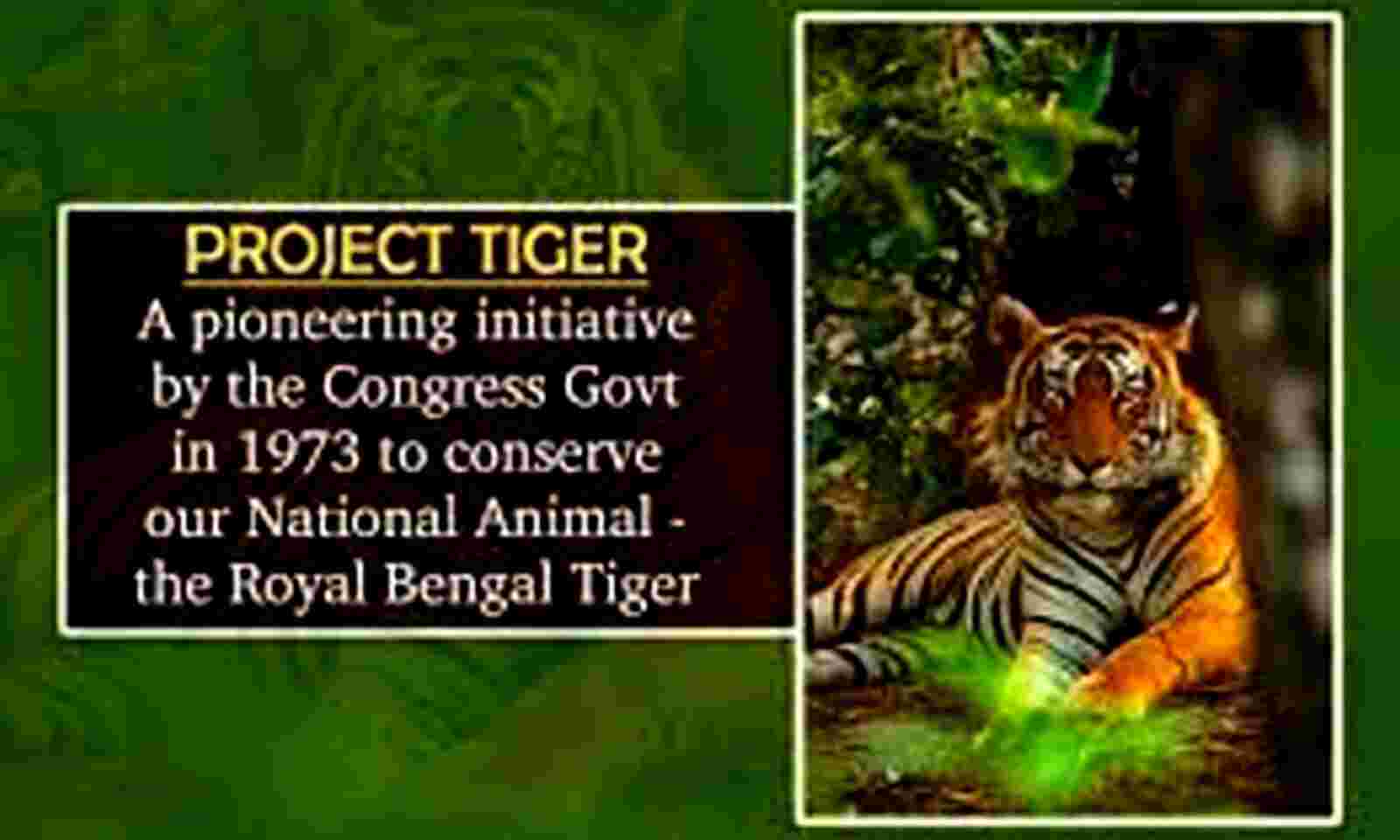 Project Tiger in India Project Tiger in India