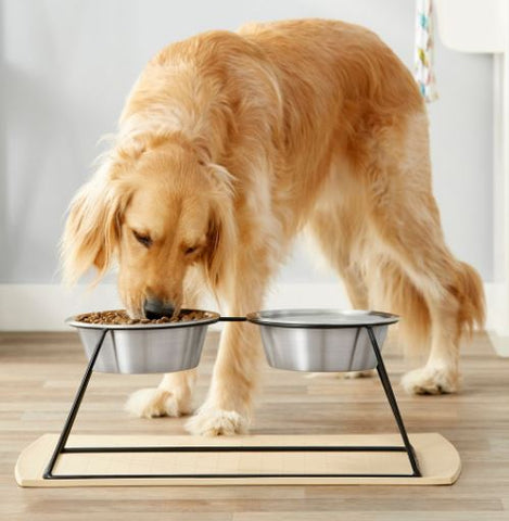 https://www.pashudhanpraharee.com/wp-content/uploads/2022/09/Elevated-Dog-Feeder.jpg