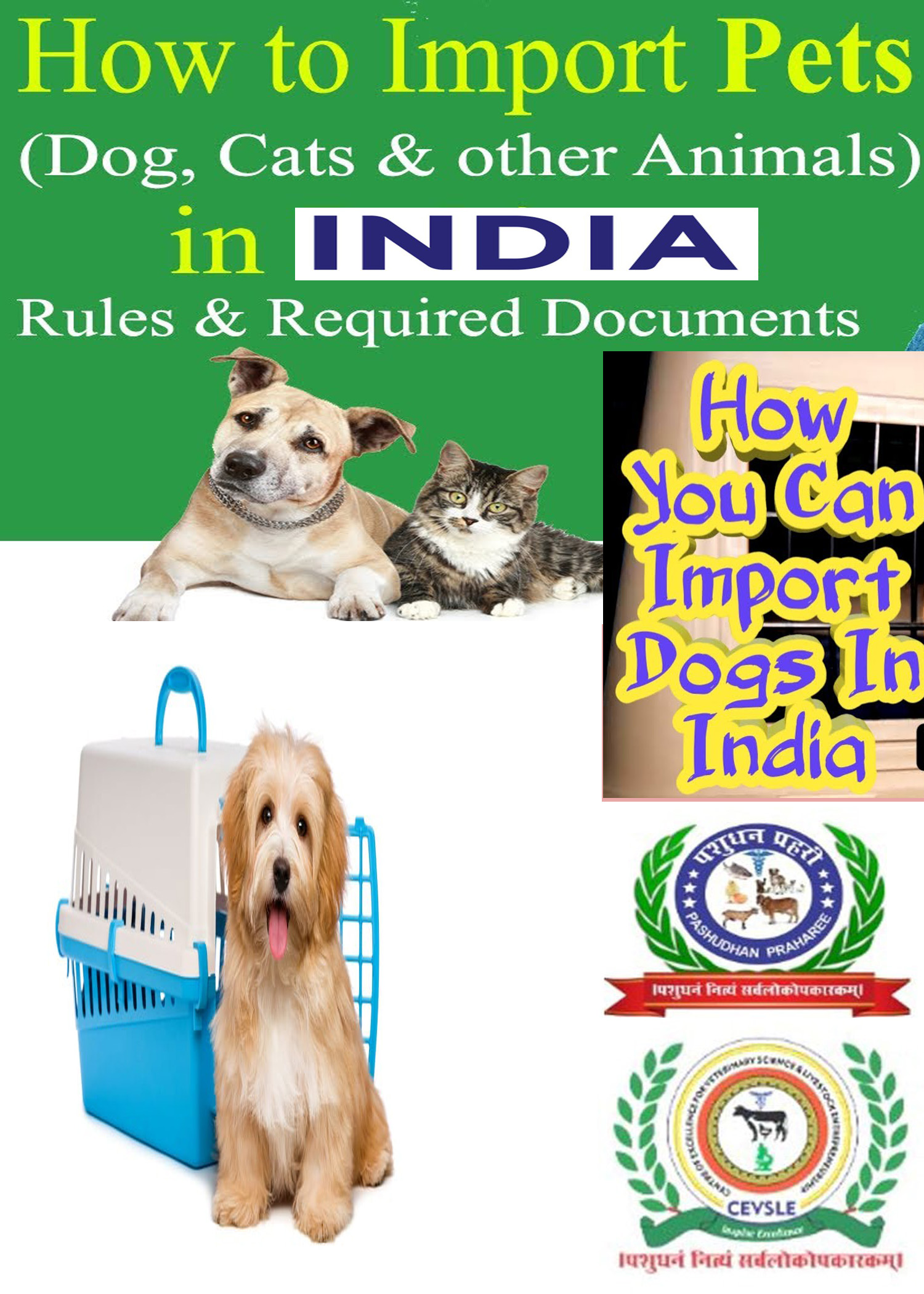 GOVT. REGULATIONS TO IMPORT PETS IN INDIA