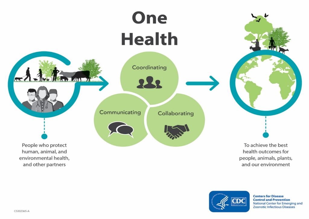 One Health Bat ONE HEALTH APPROACH -NEED OF THE HOUR