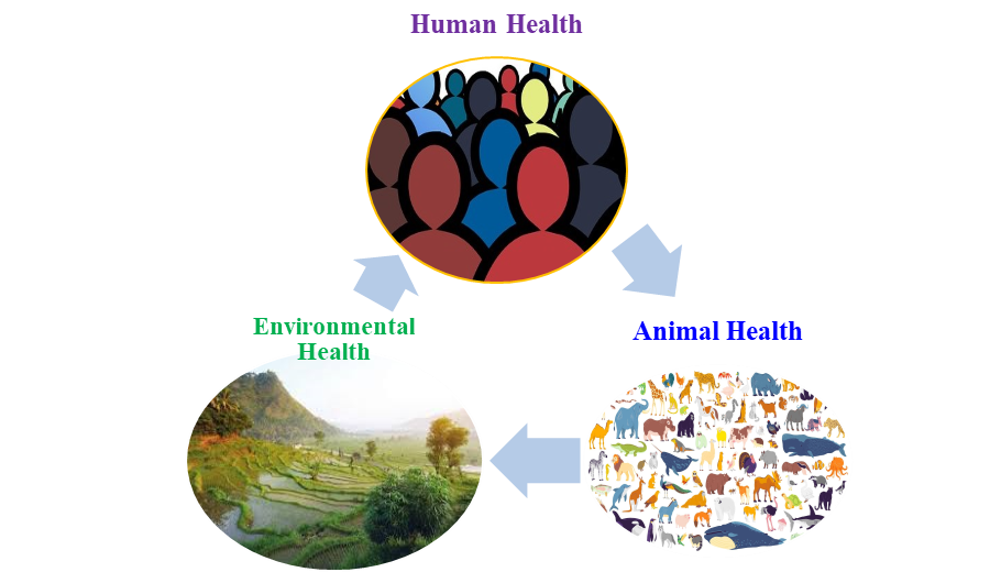 CONCEPT OF ONE HEALTH NEEDS A FIRM TASK FORCE CONCEPT OF ONE HEALTH NEEDS A FIRM TASK FORCE