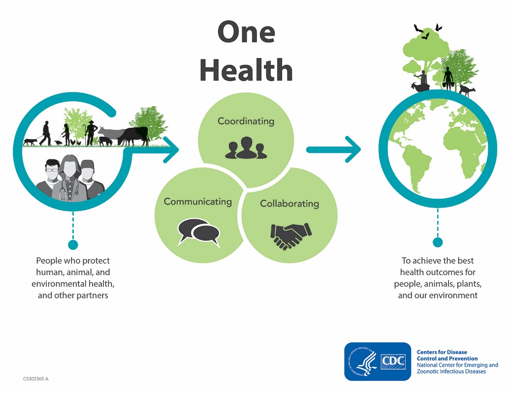 ONE HEALTH APPROACH: THE NEED OF THE HOUR ONE HEALTH APPROACH: THE NEED OF THE HOUR