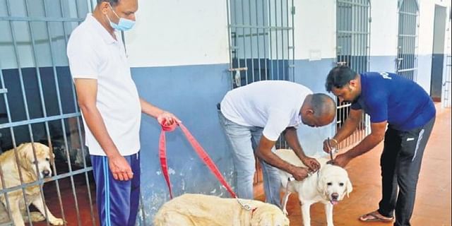 Kerala Police Set up a Retirement Home for Trained Dogs :Set an Example for  Owners who Abandon theirs