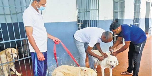 Kerala Police Set up a Retirement Home for Trained Dogs :Set an Example for Owners who Abandon theirs Kerala Police Set up a Retirement Home for Trained Dogs :Set an Example for Owners who Abandon theirs