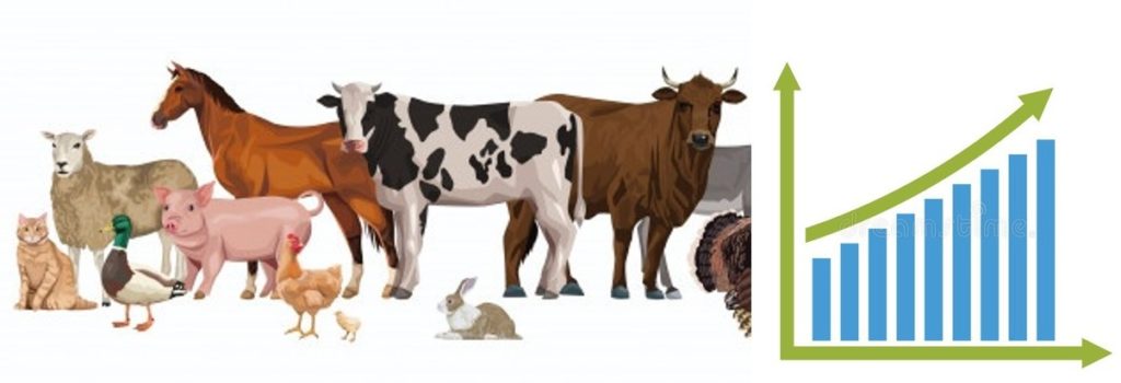 Summary of Livestock Production Statistics of India – 2020 – Pashudhan  praharee