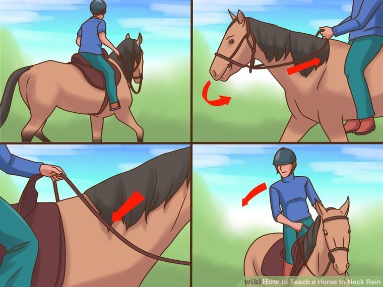 Mastering Equestrian Riding Techniques for Peak Performance