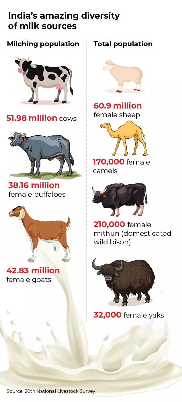 Potential of Non-Bovine Milk (NBM) in India: Sources and Future Prospects – Pashudhan praharee Potential of Non-Bovine Milk (NBM) in India: Sources and Future Prospects – Pashudhan praharee