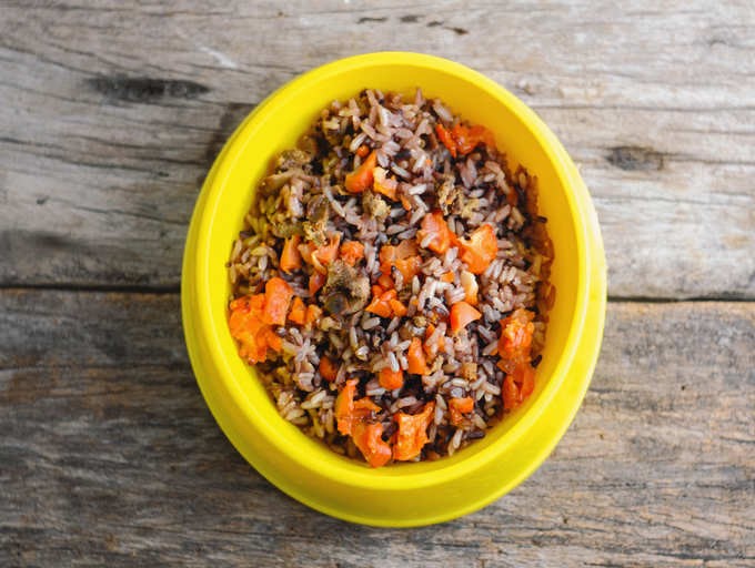 One month dog online food in hindi
