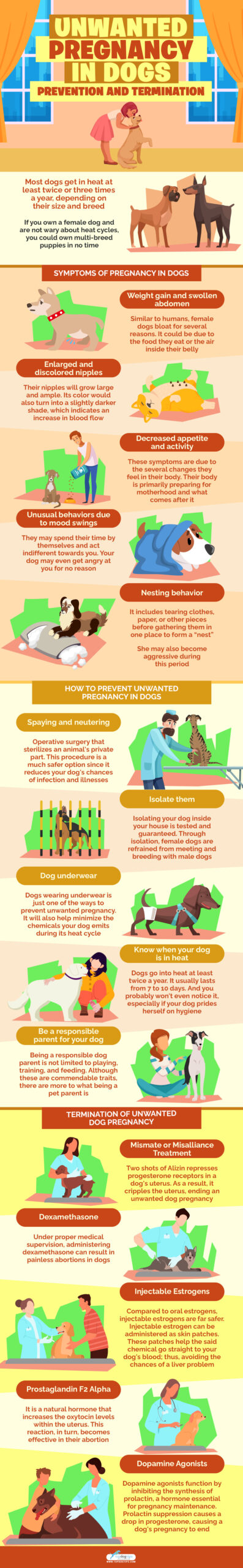 Terminating store dog pregnancy