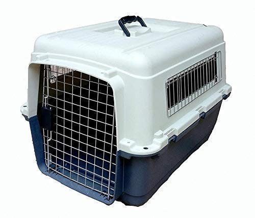 Dog crate for flight sale
