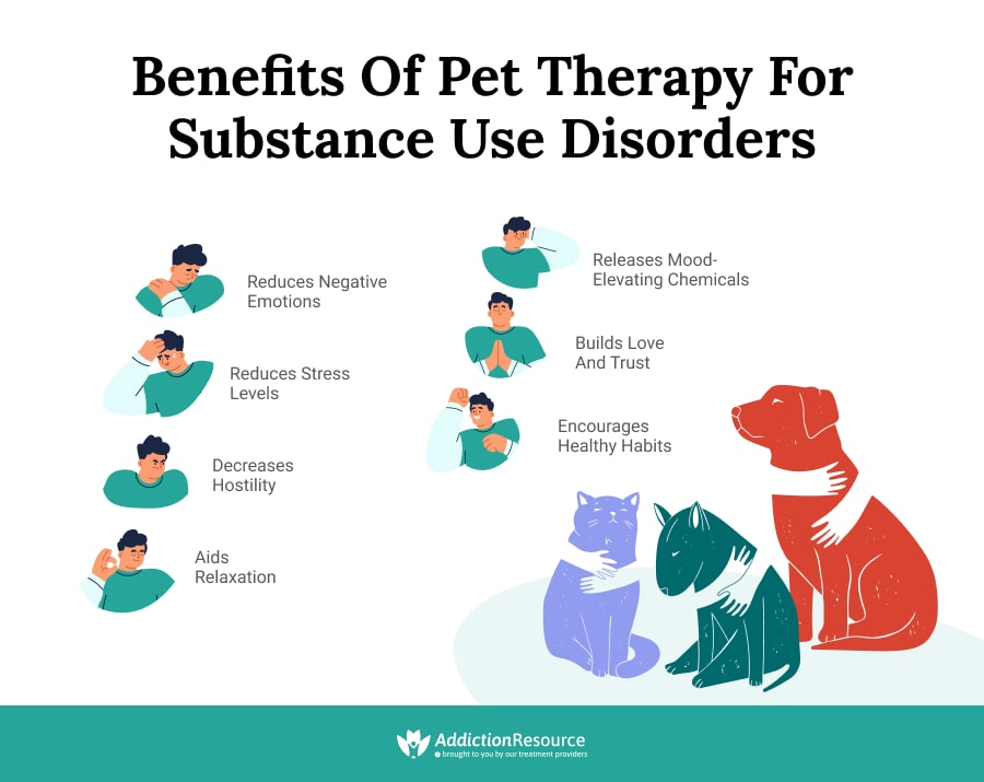 Therapy pets for anxiety and depression hotsell
