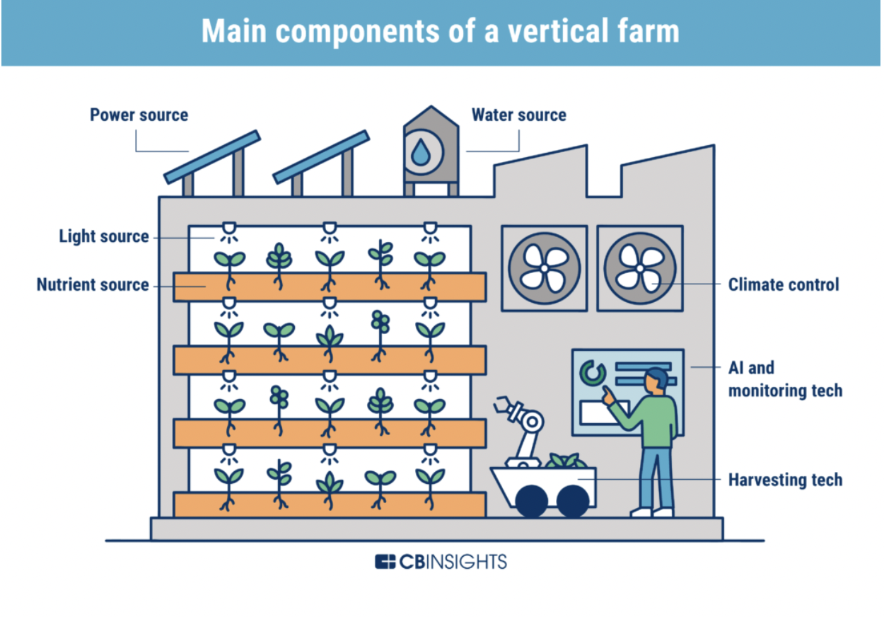 IMPORTANCE & PROSPECTS OF VERTICAL FARMING IN INDIA Pashudhan praharee