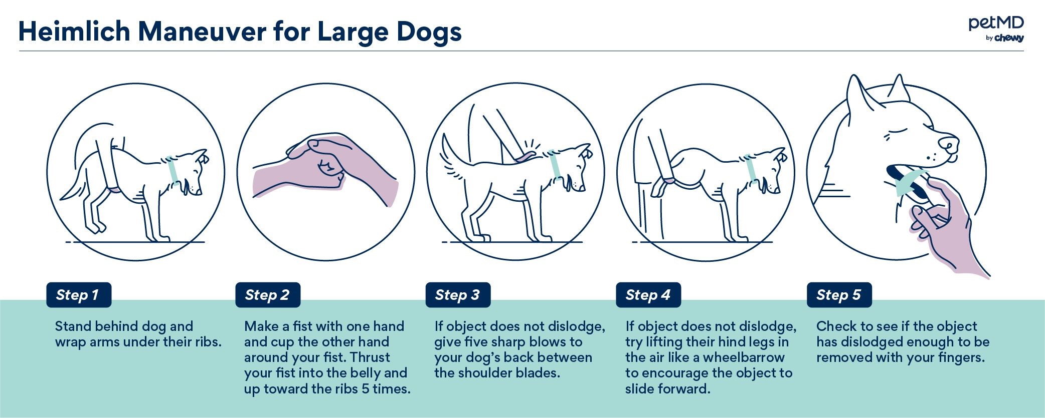 How to Perform the Heimlich Maneuver on Dog Pashudhan praharee