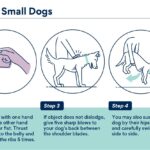 Heimlich Maneuver for Small Dogs
