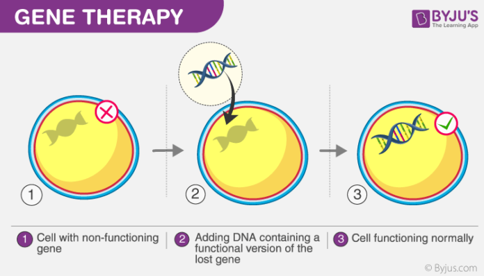 AN OVERVIEW OF GENE THERAPY