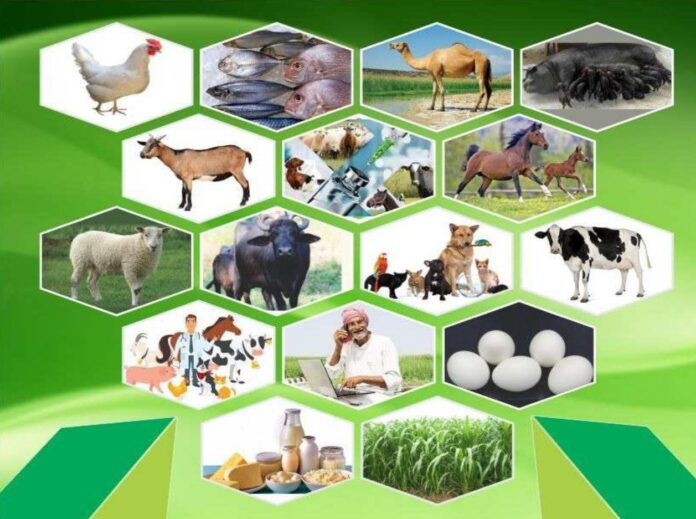 Goat Farming- A Profitable Venture Goat Farming- A Profitable Venture