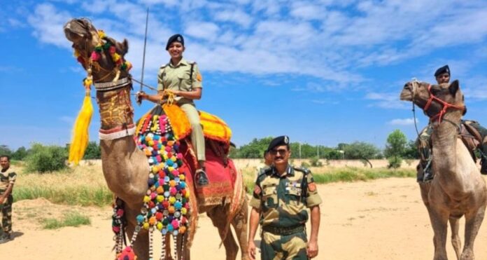 NRCC works towards the conservation and promotion of camels