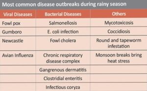 diseases are prevalent during rainy season:
