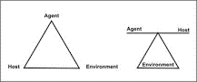 triad of infectious disease model