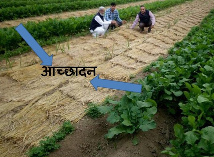 उपचारित पराली