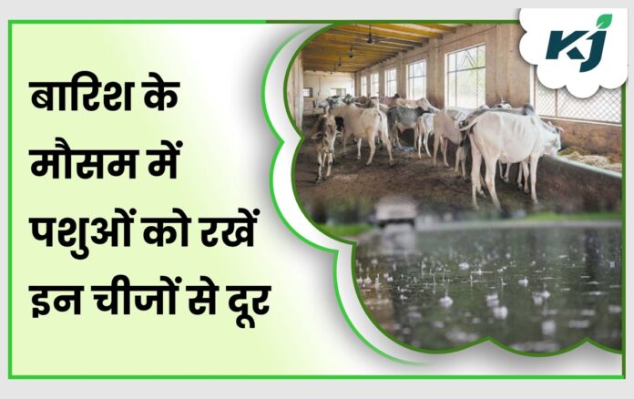 मानसून पूर्व पशुओं का स्वास्थ्य प्रबंधन