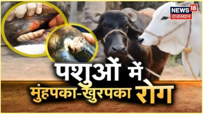 मुंहपका-खुरपका रोग