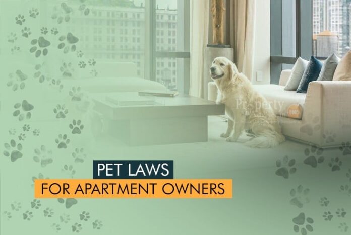 BY-LAWS TO KEEP PETS & FEED  STRAY DOGS IN THE APARTMENTS