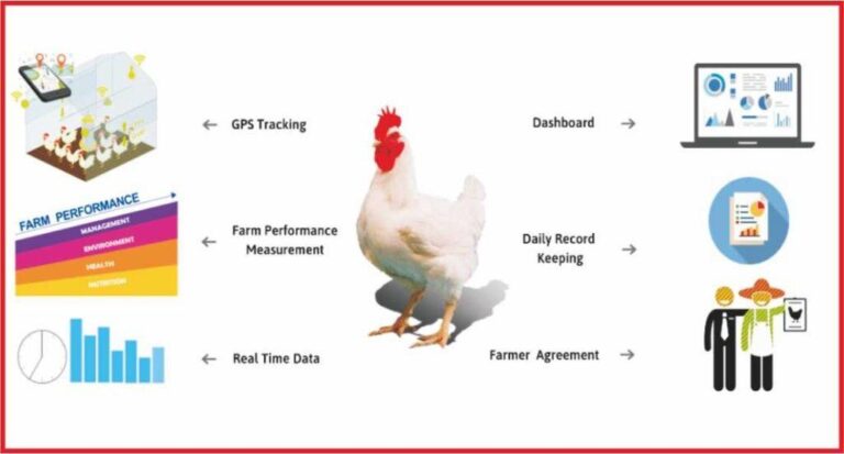 Artificial Intelligence in Poultry Industry : Prospects of Automation ...