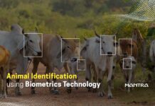 Biometric Identification of Animals