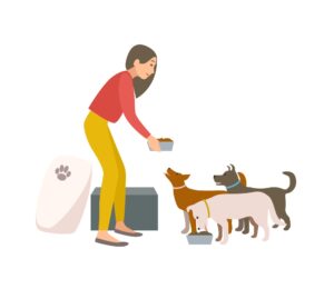 dog daycare business plan india DOG DAY-CARE CENTRE